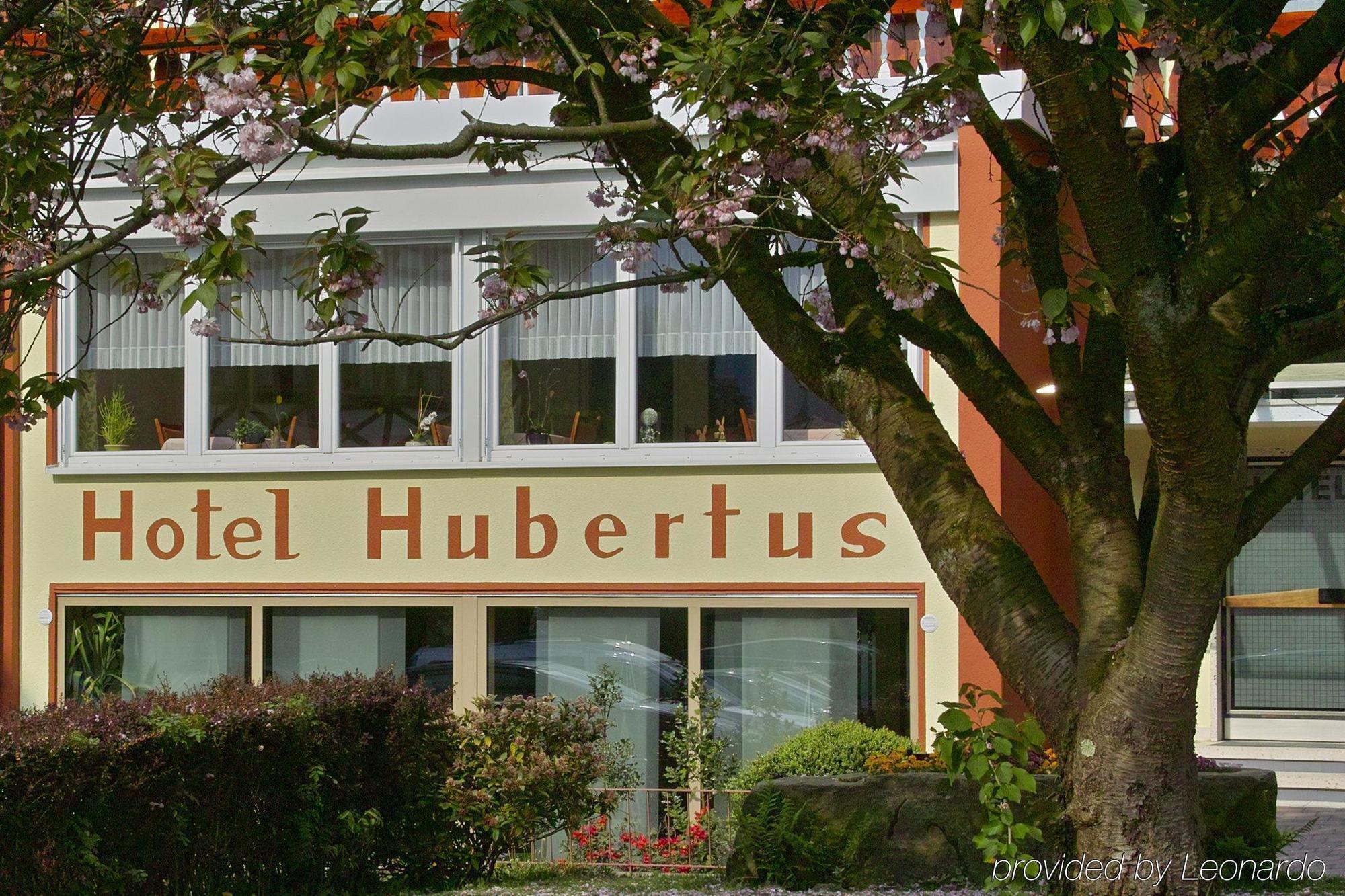 Akzent Hubertus Hotel Bad Peterstal-Griesbach Esterno foto